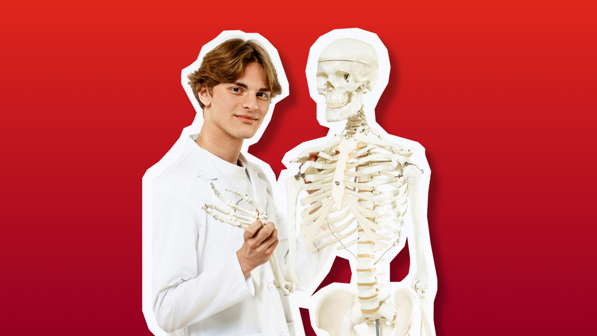 Persona baltā laboratorijas halātā stāv blakus cilvēka skeleta modelim uz sarkana fona. Rokā tiek turēts skeleta plaukstas modelis, bet blakus redzams pilna auguma anatomiskais skelets ar galvaskausu, ribām un iegurni. Attēls saistīts ar cilvēka anatomijas un medicīnas studijām.